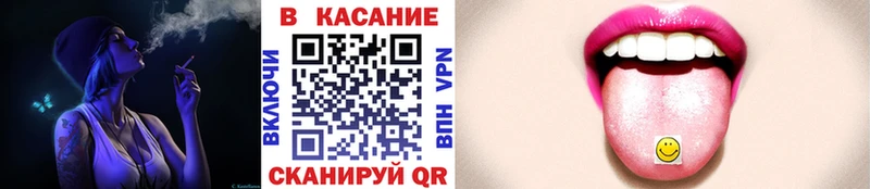 МЕФ Ершов