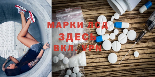мяу мяу мука Баксан