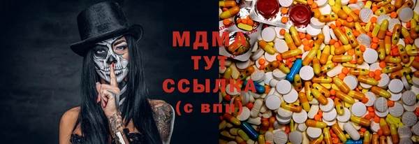 МДПВ Тайга