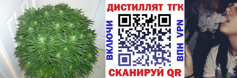 дарнет шоп  Ершов  Дистиллят ТГК вейп с тгк 